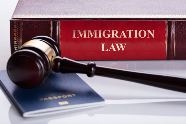 Other Immigration Cases